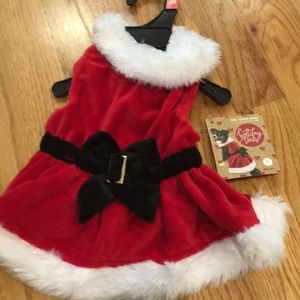 Holiday dog costume